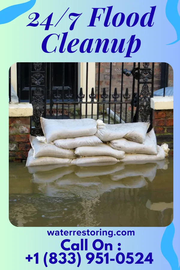 24/7 Flood Cleanup in Dune Acres, IN