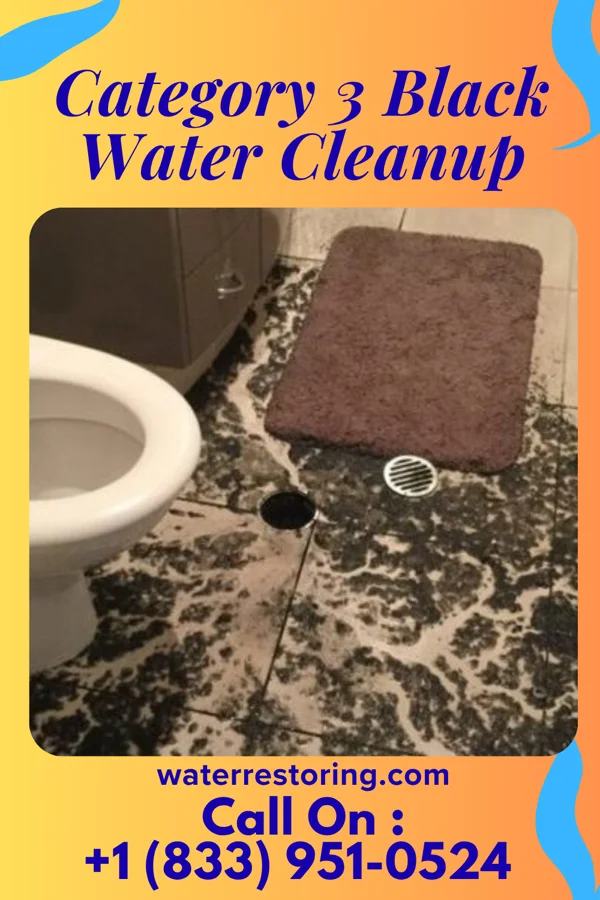Category 3 Black Water Cleanup in Dune Acres, IN