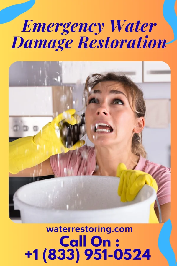 Emergency Water Damage Restoration in Dune Acres, IN