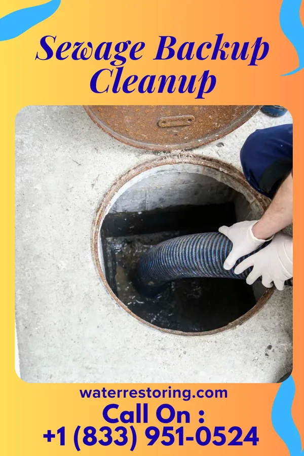 Sewage Backup Cleanup in Dune Acres, IN